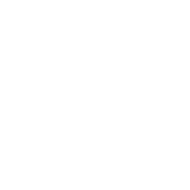 Logo for Intergovernmental Audit Forums